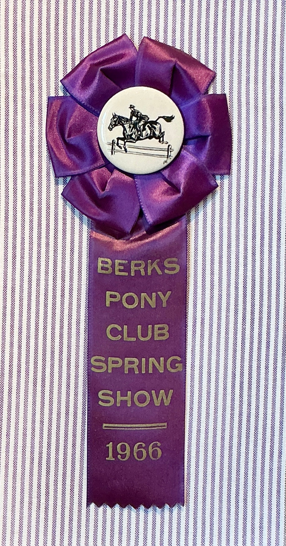 Vintage Berks Pony Club Spring Horse Show Ribbon on Purple Stripes in Gold Frame