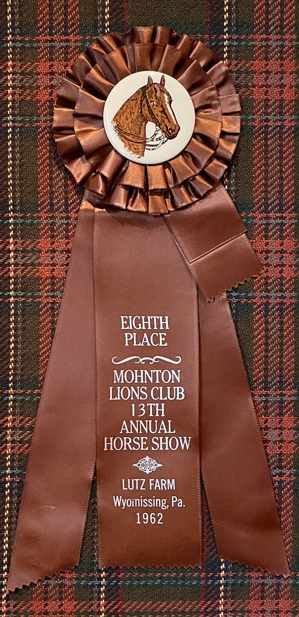 Vintage Mohnton Lions Club Horse Show Ribbon on Plaid in Gold Frame