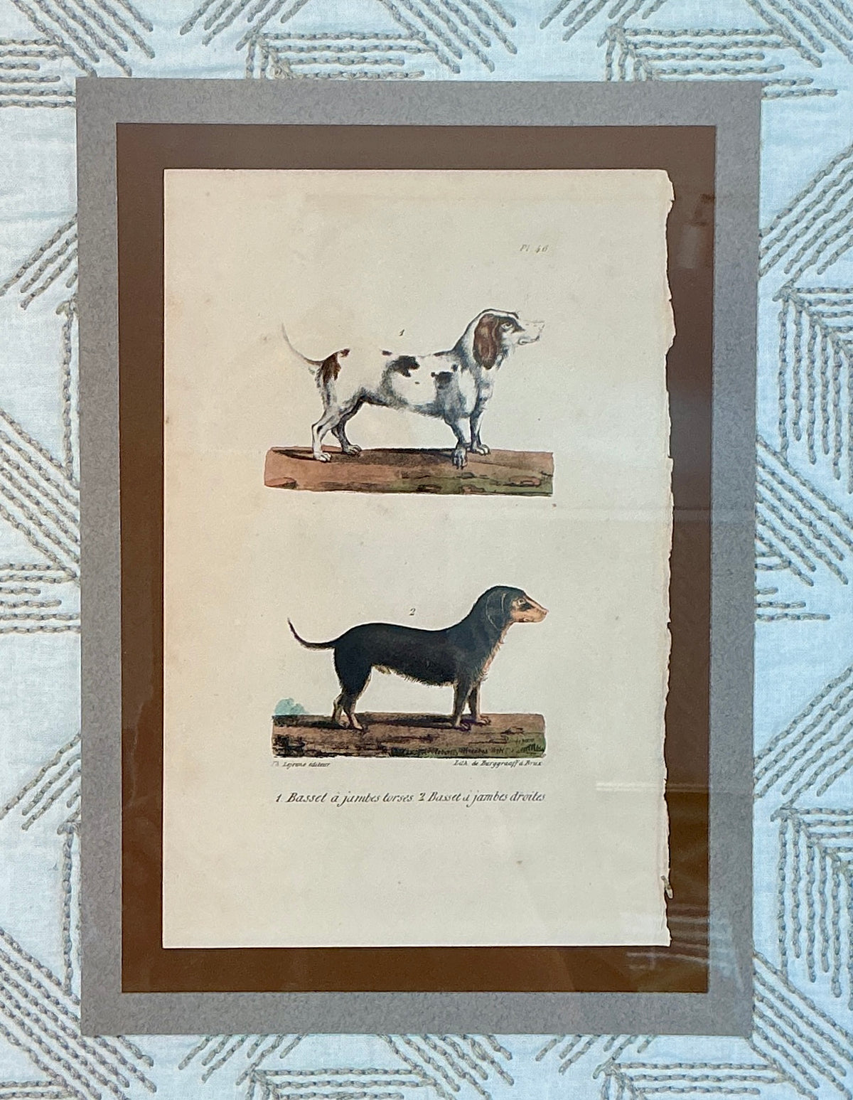 19th Century Basset Hound French Bookplate on Quilted Schumacher Fabric in Gold Frame