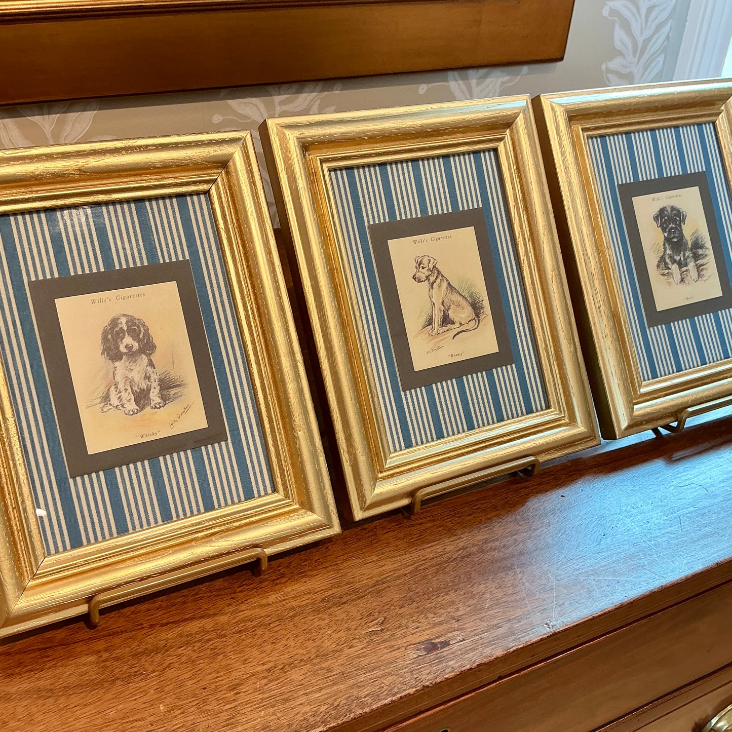Set of 3 1930s Tobacco Cards With Dogs on Blue Ticking Stripes in Gold Frames