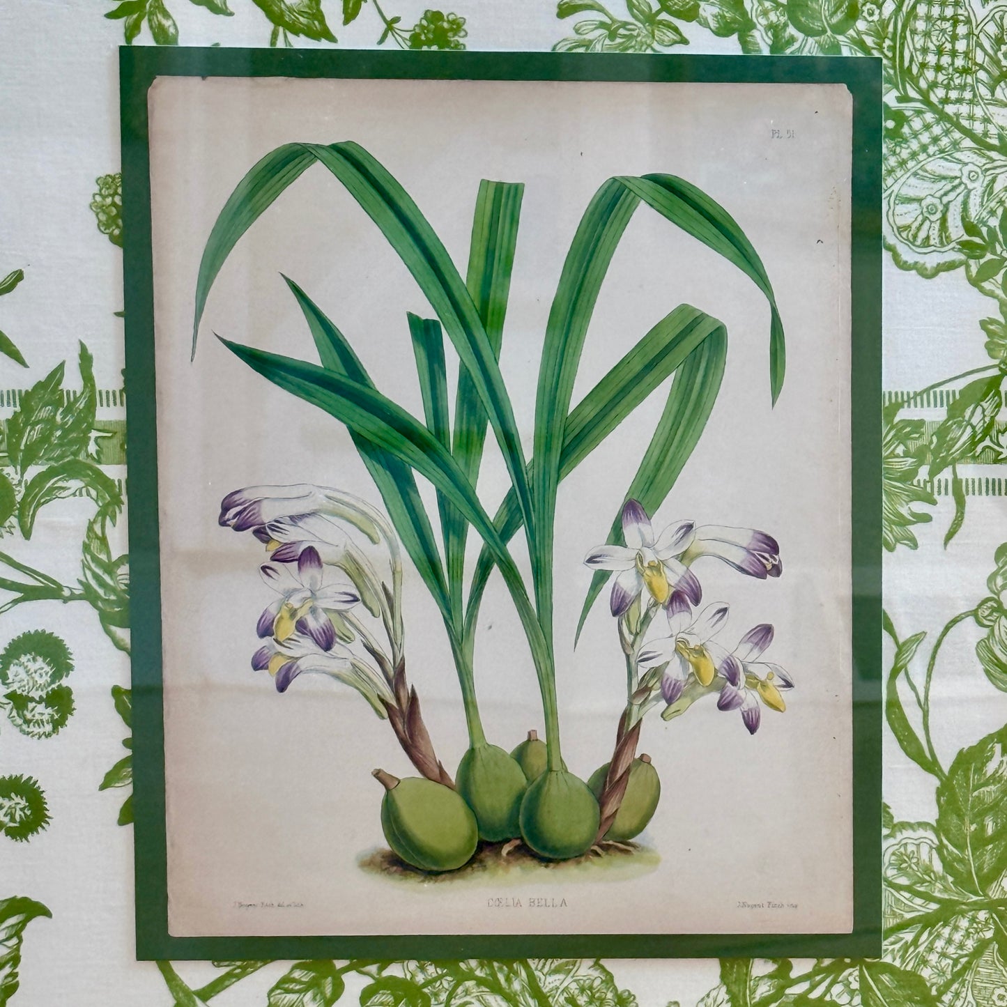 Pair of 19th Century Orchid Hand Colored Lithographs on Vintage Schumacher Green Toile in Gold Frames