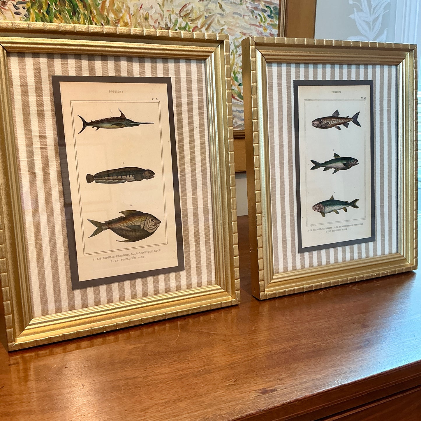Pair of 19th Century Hand Colored French Fish Lithographs on Taupe Stripes in Gold Frames - Set A