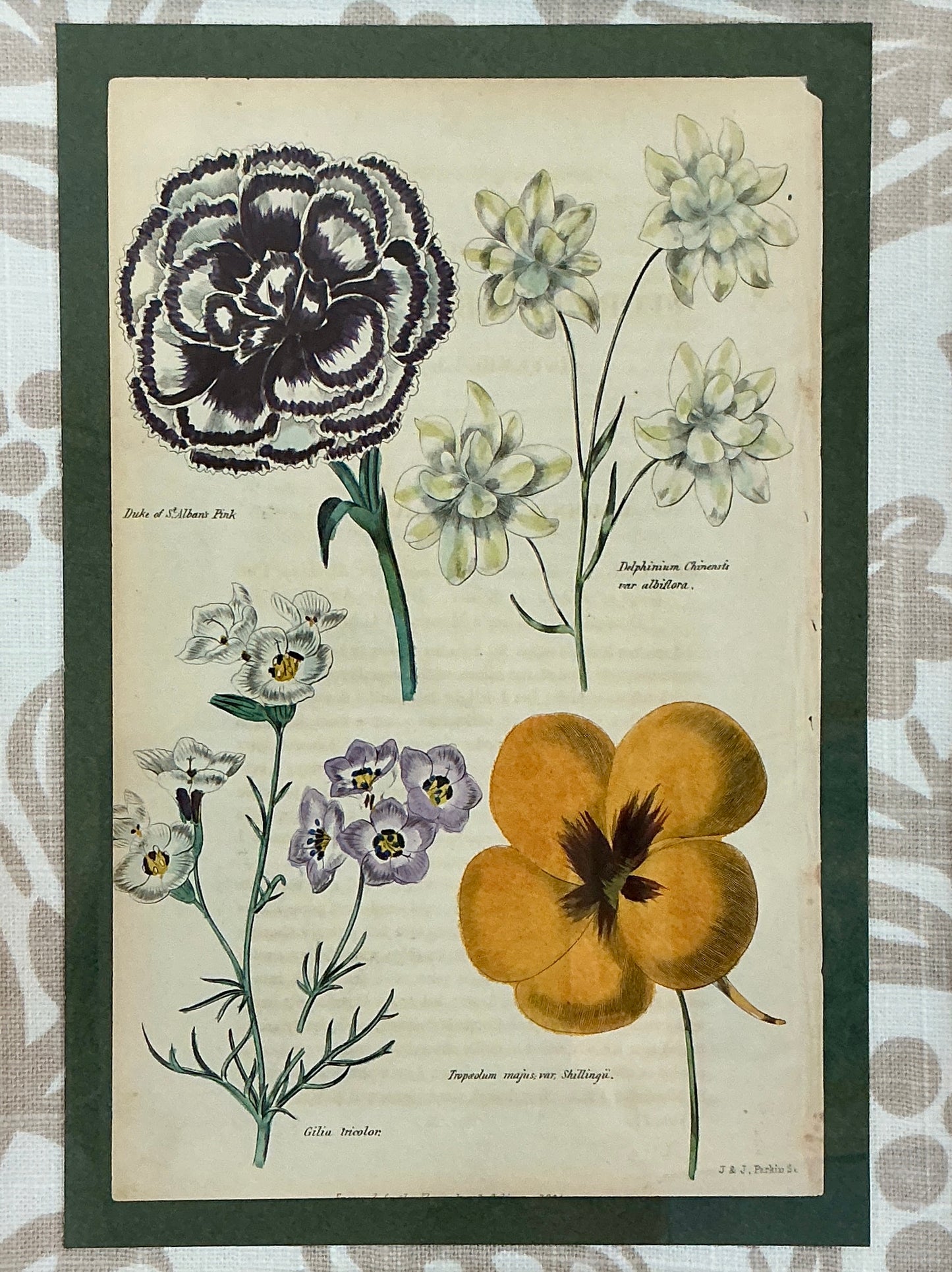 Pair Of Early 19th Hand Colored Botanical J & J Parkin Bookplates on Taupe Botanical Fabric in Gold Frames