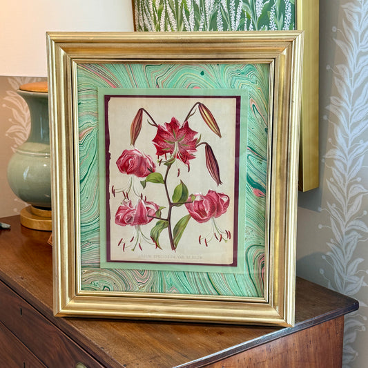 20th Century Japanese Lily Chromolithograph on Hand Marbled Paper