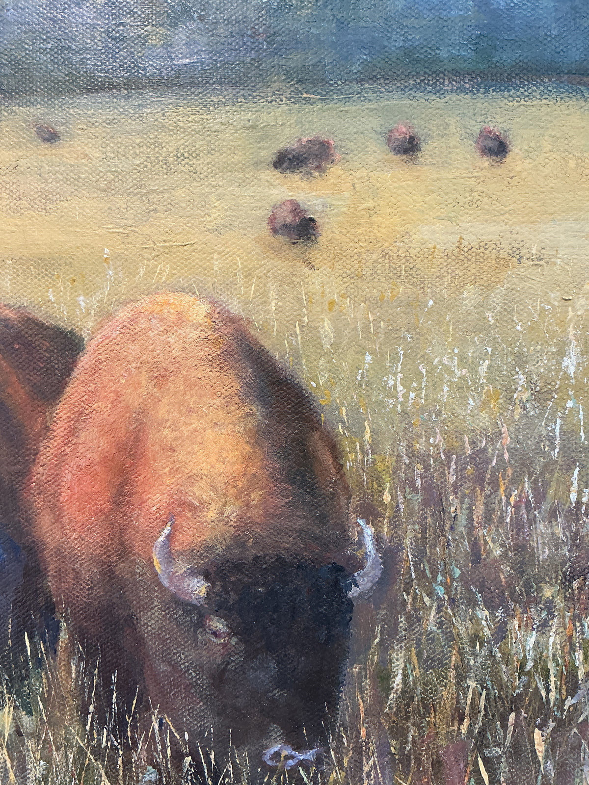 Vintage Buffalo American West Landscape Oil Painting in Bold Frame