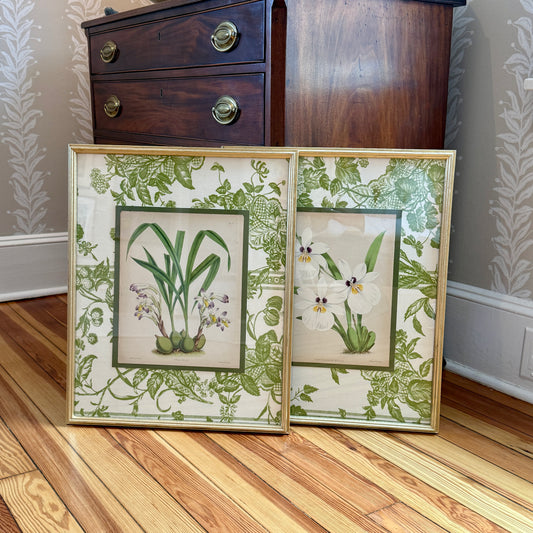 Pair of 19th Century Orchid Hand Colored Lithographs on Vintage Schumacher Green Toile in Gold Frames