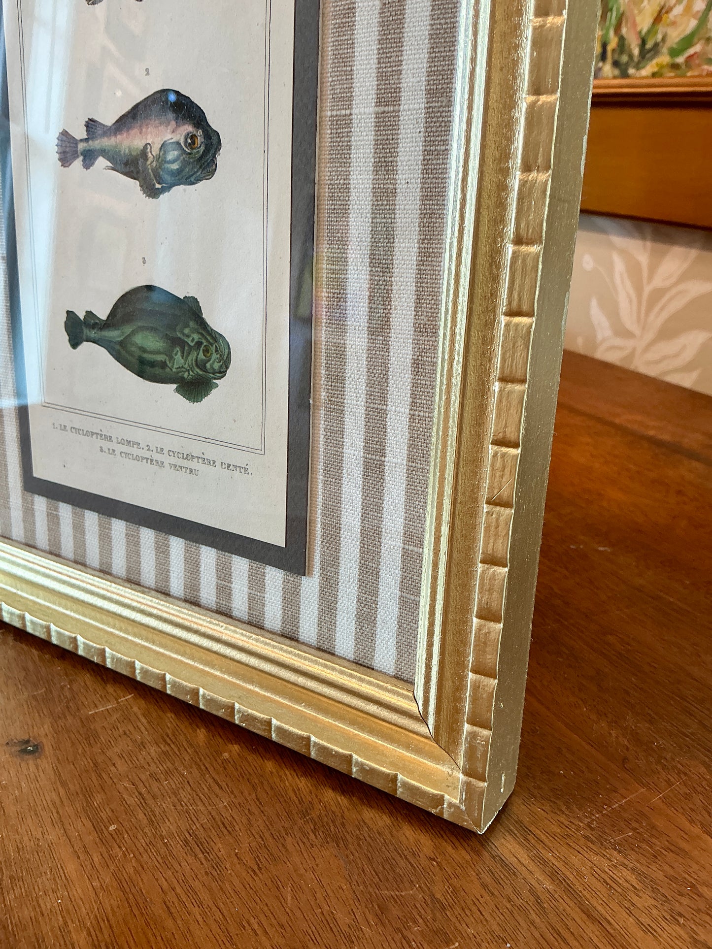 Pair of 19th Century Hand Colored French Fish Lithographs on Taupe Stripes in Gold Frames - Set C