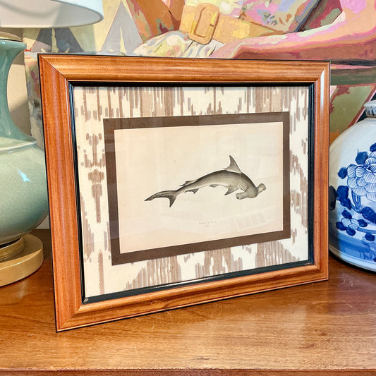 19th Century Hand Colored Hammer Head Shark Lithograph on Neutral Ikat Fabric in Wood Frame