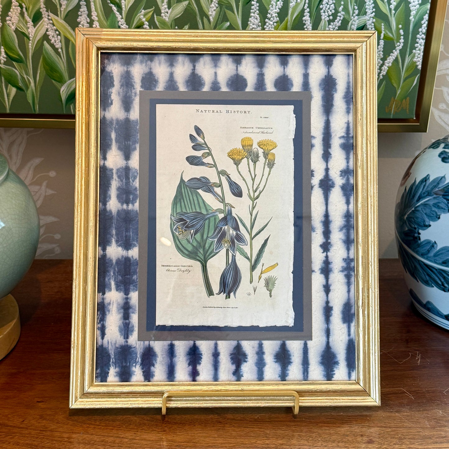 Antique Hand Colored Botanical Engraving on Navy Shibori Hand Made Paper in Gold Frame
