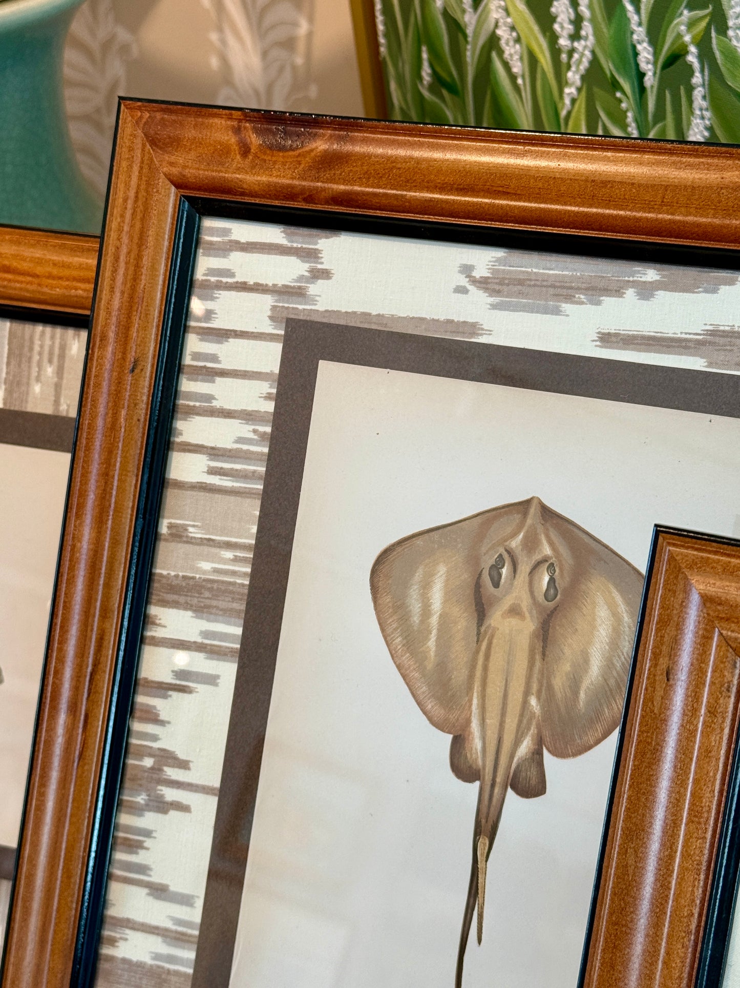 Set of Three 19th Century Shark, Fish and Ray Hand Colored Lithographs on Neutral Ikat Fabric in Wood Frame