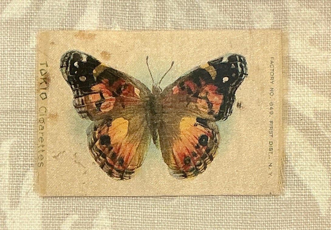Antique Butterfly Tobacco Silk on Neutral Fabric in Rustic Gold Frame