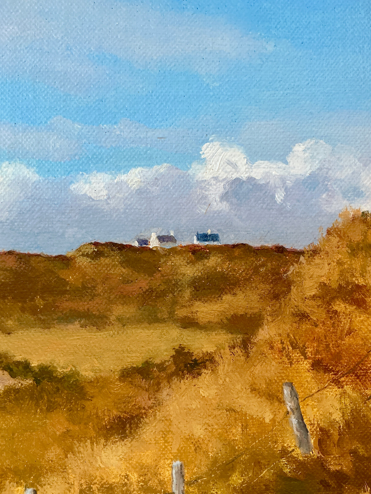 Anthony R. Thompson Cottages By The Burren Fanore Ireland Coastal Landscape Oil Painting in Gold Frame