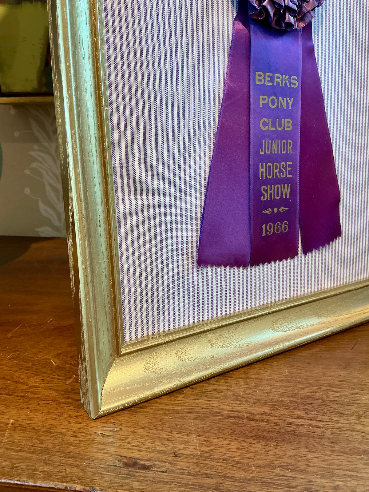 Vintage Berks Pony Club Horse Show Ribbon on Purple Stripes in Gold Frame