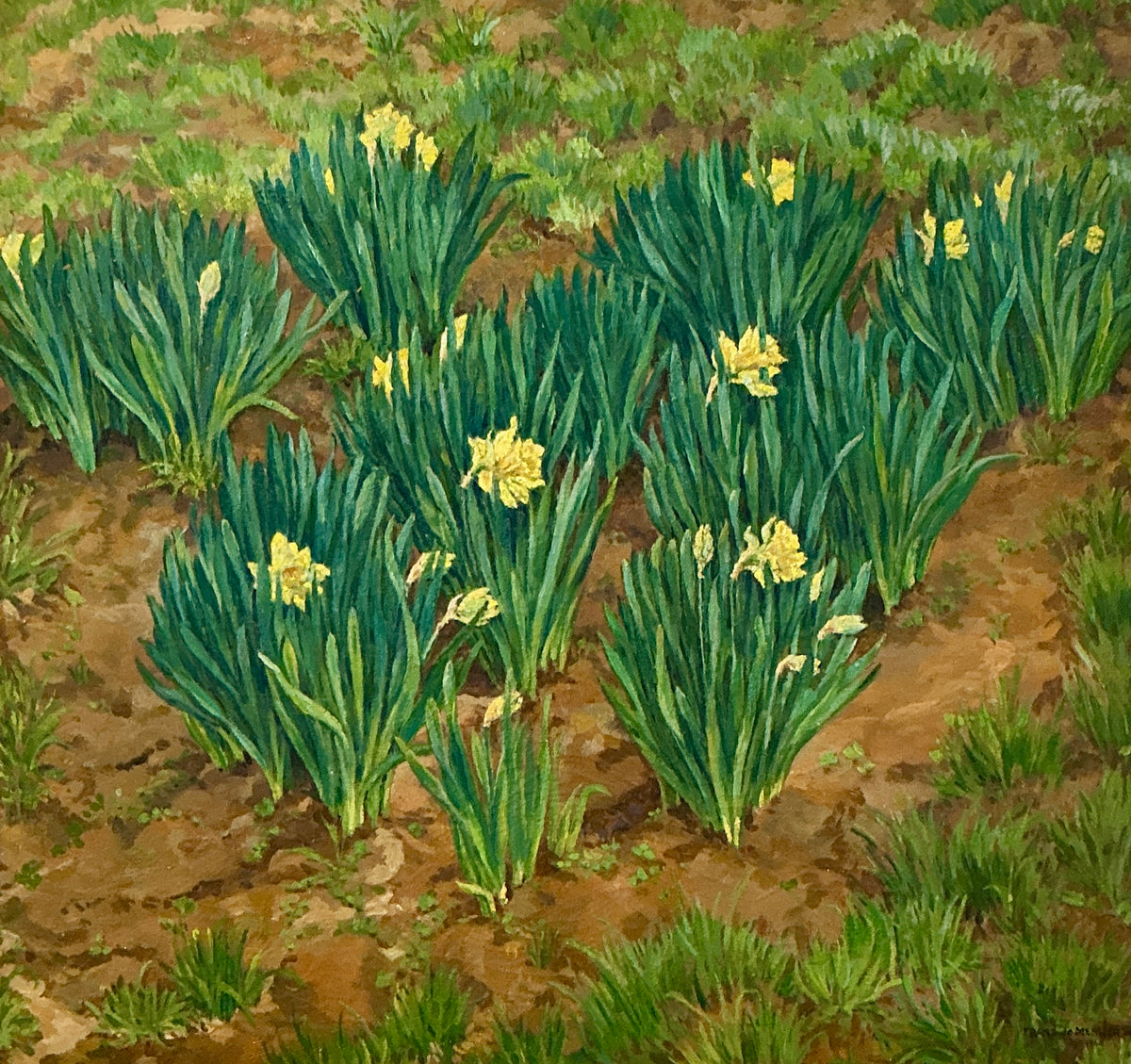 Franz de Merlier Daffodils Landscape Oil Painting in Wood Frame