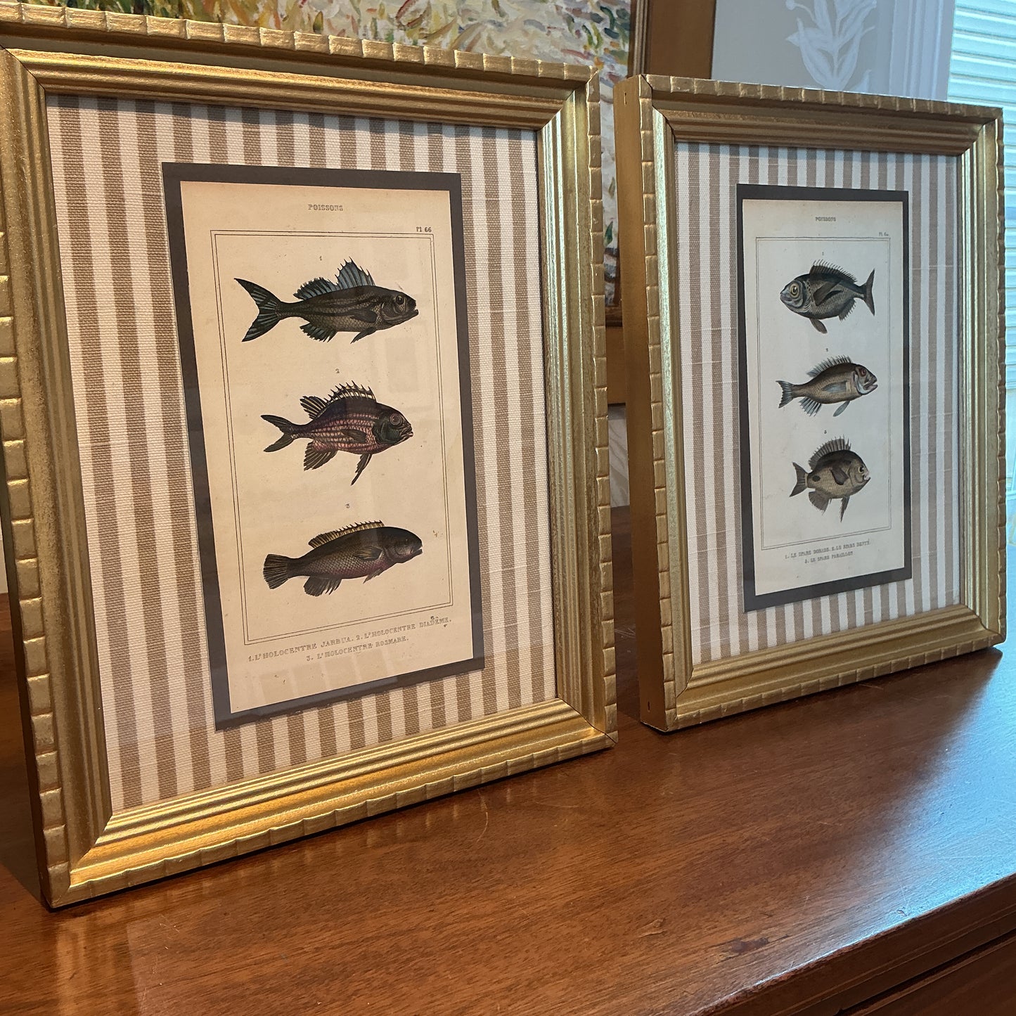 Pair of 19th Century Hand Colored French Fish Lithographs on Taupe Stripes in Gold Frames - Set B