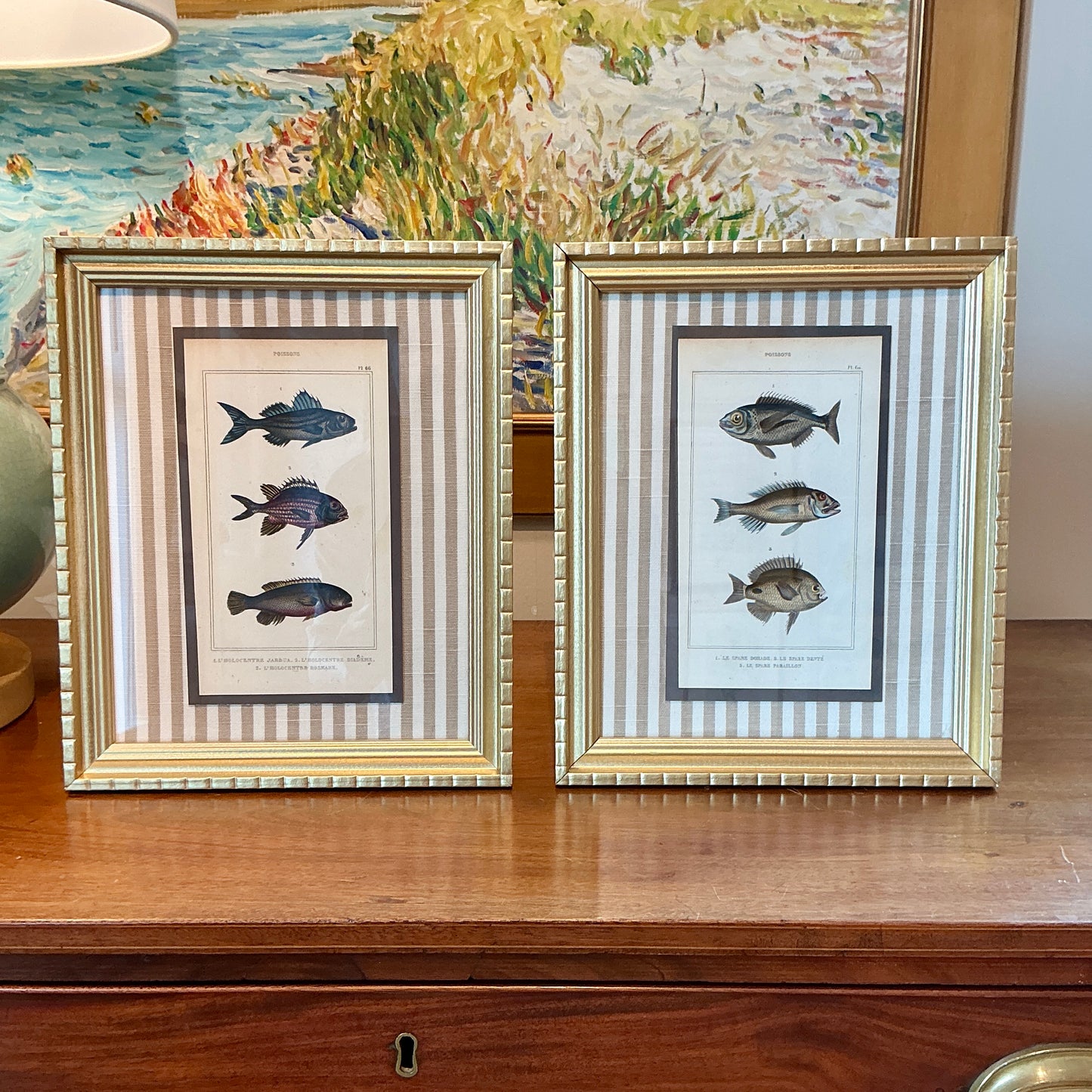 Pair of 19th Century Hand Colored French Fish Lithographs on Taupe Stripes in Gold Frames - Set B