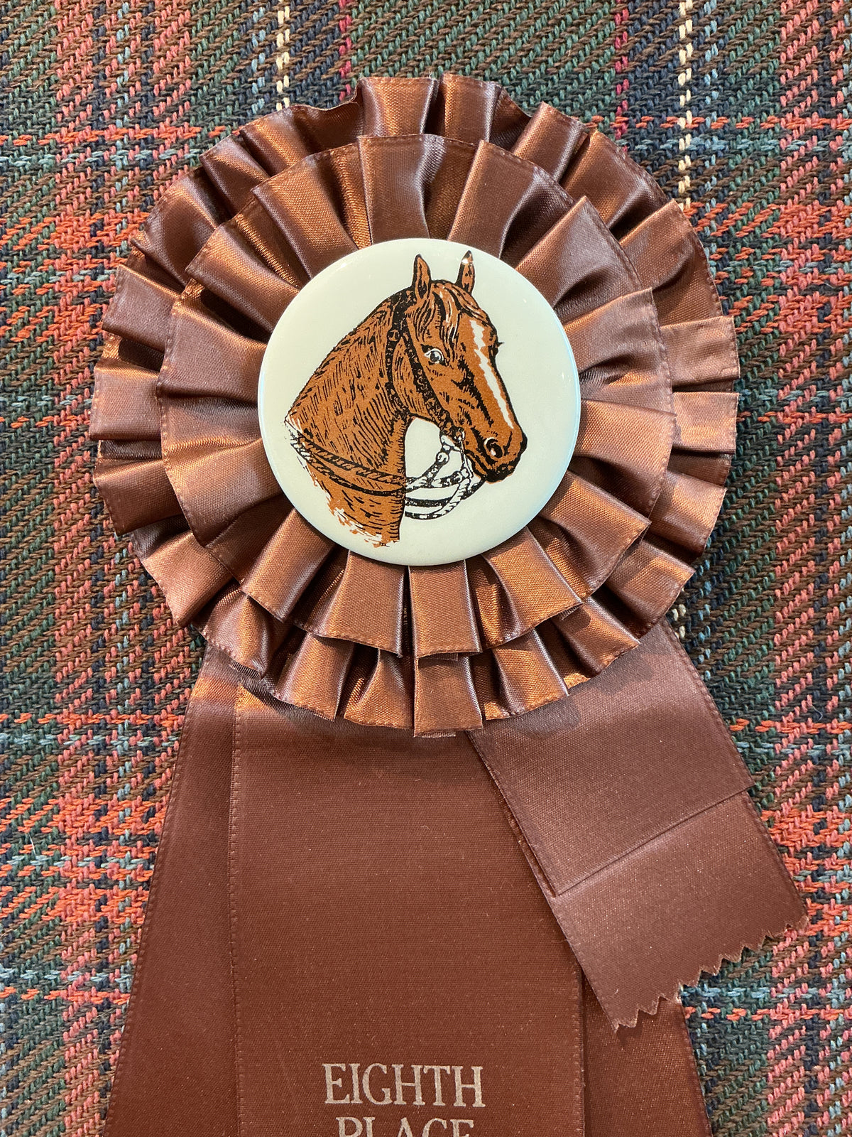 Vintage Mohnton Lions Club Horse Show Ribbon on Plaid in Gold Frame