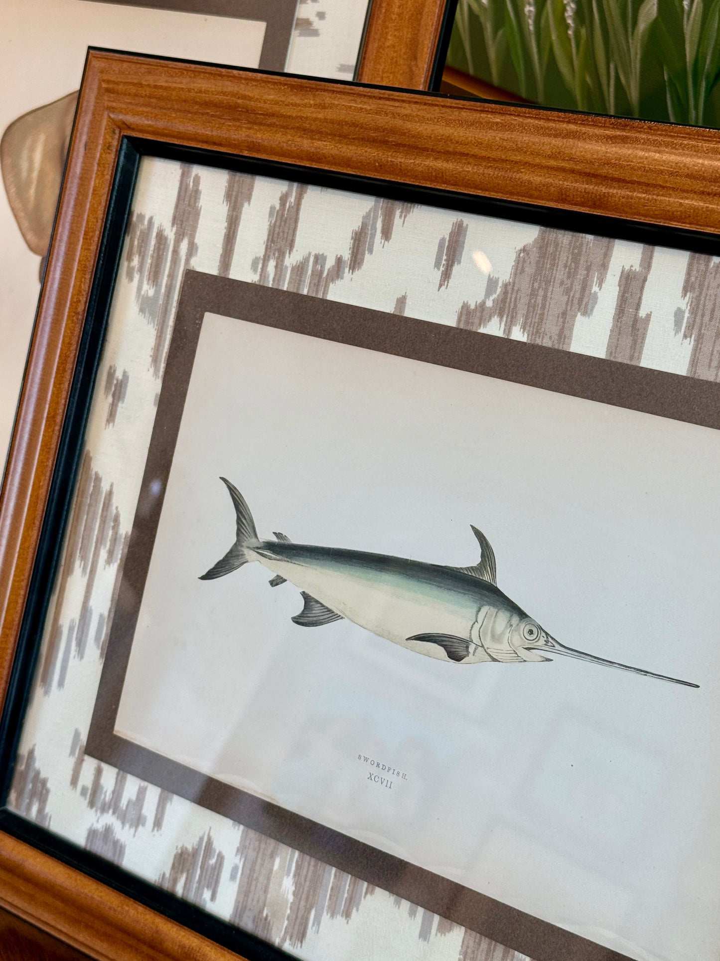 Set of Three 19th Century Shark, Fish and Ray Hand Colored Lithographs on Neutral Ikat Fabric in Wood Frame