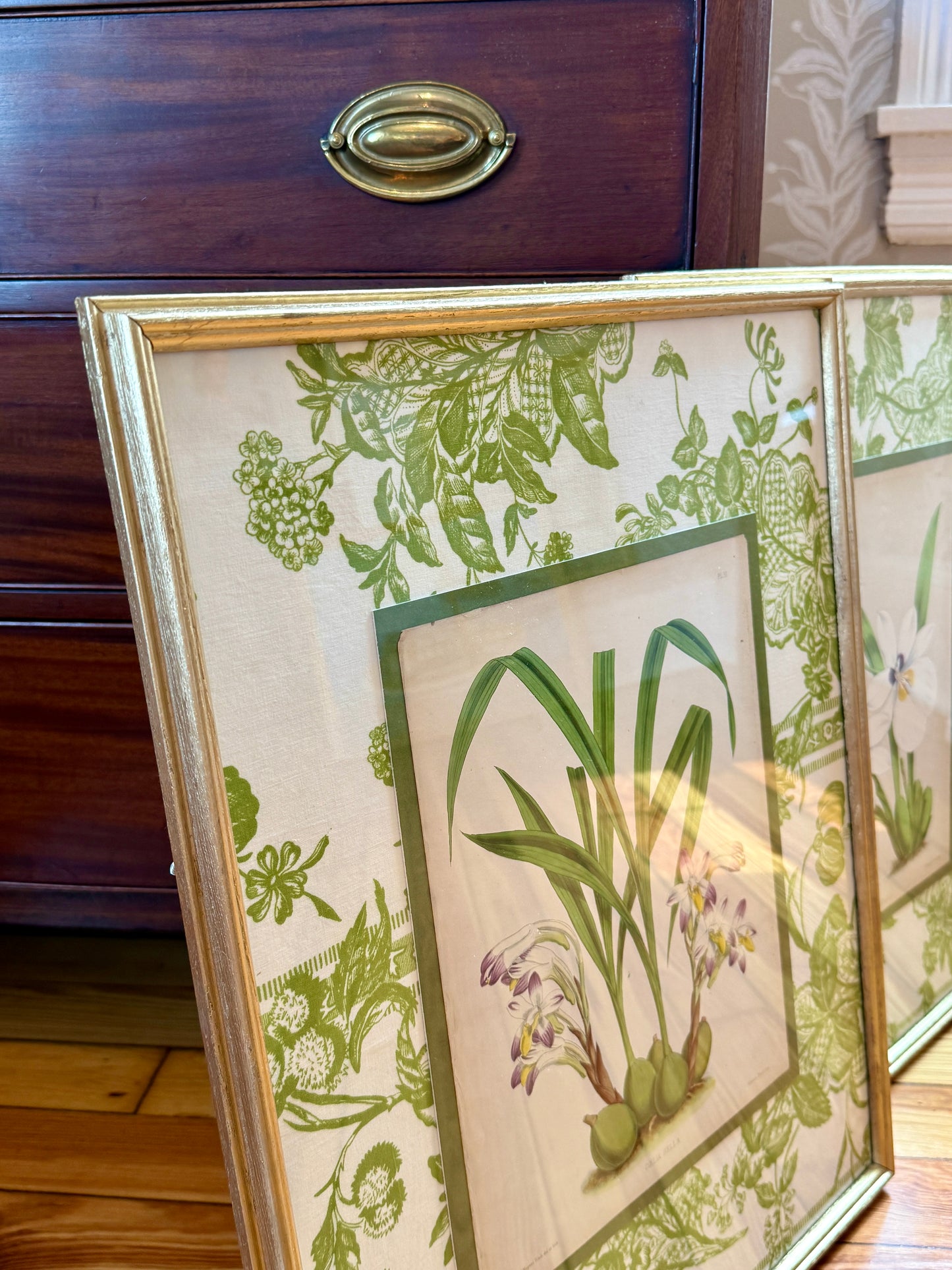 Pair of 19th Century Orchid Hand Colored Lithographs on Vintage Schumacher Green Toile in Gold Frames