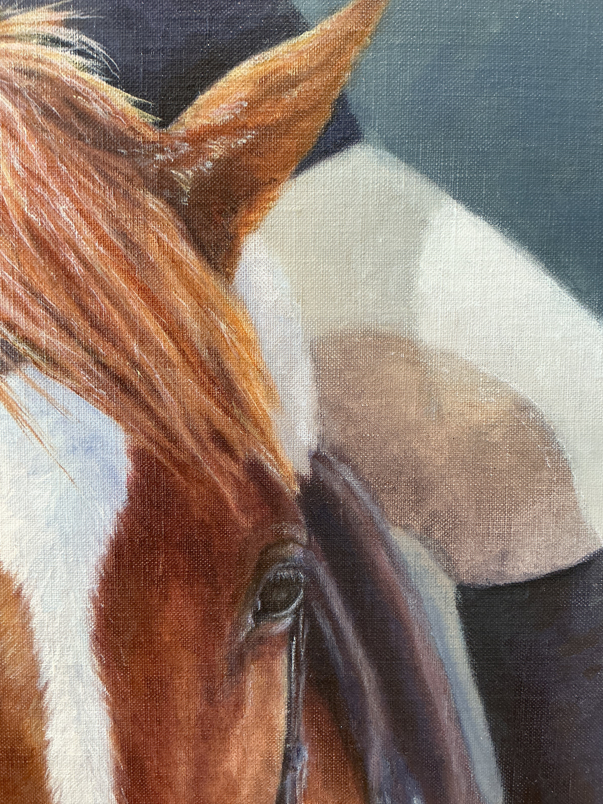Andrea Hennings Horse And Rider Portrait Painting in Gold Frame