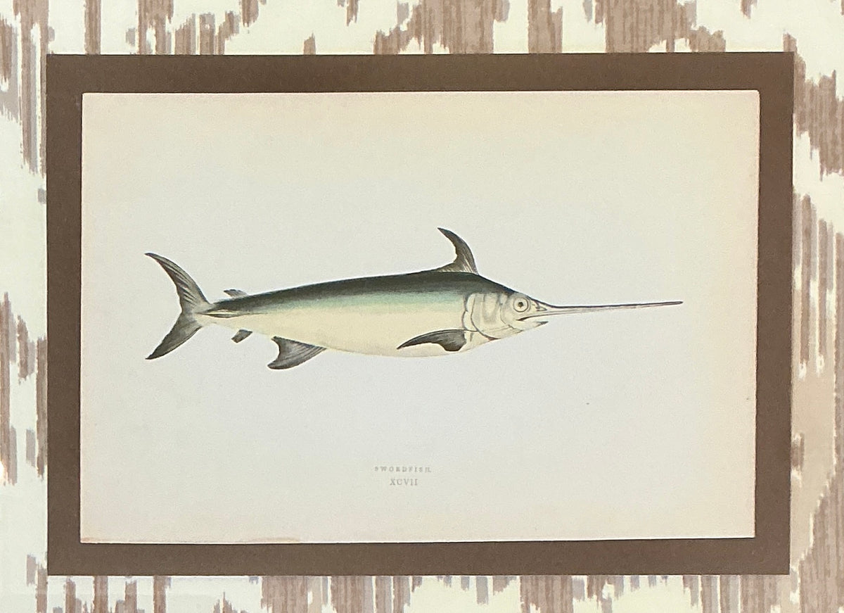 19th Century Hand Colored Swordfish Lithograph on Neutral Ikat Fabric in Wood Frame