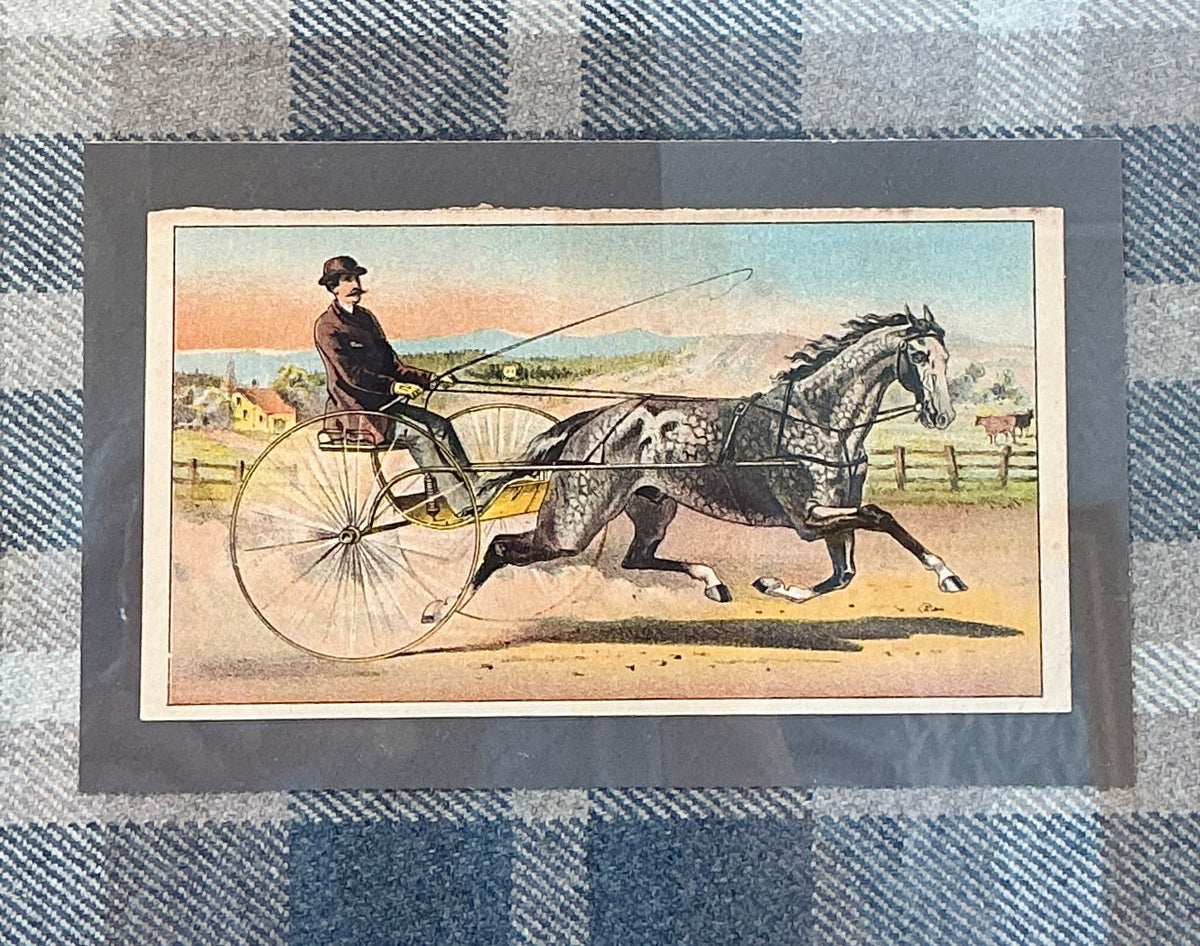 Late 19th Century Horse Harness Racing Trading Card on Vintage Wool Plaid in Gold Frame