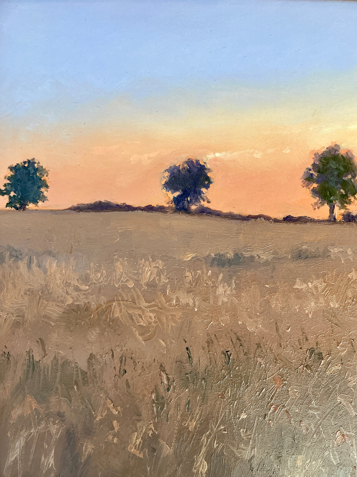 Anthony R. Thompson Early Morning Landscape Oil Painting in Gold Frame