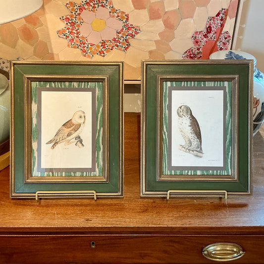 Pair of 19th Century Owl Lithographs on Green Faux Bois Fabric in Green and Dark Gold Frames