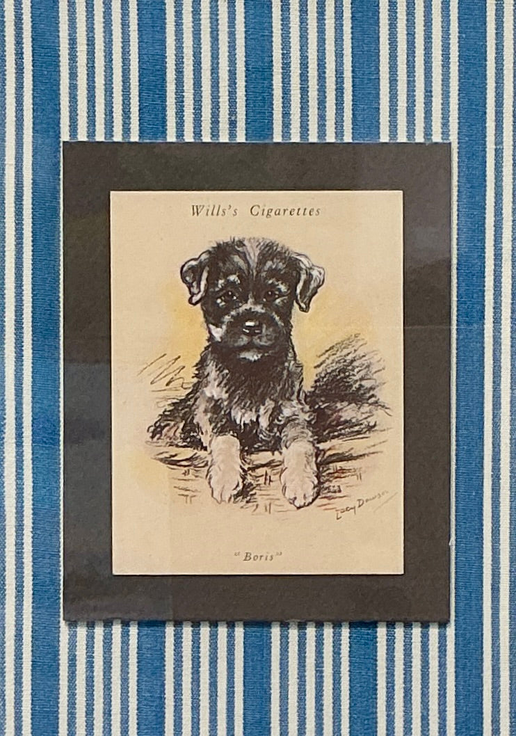 Set of 3 1930s Tobacco Cards With Dogs on Blue Ticking Stripes in Gold Frames