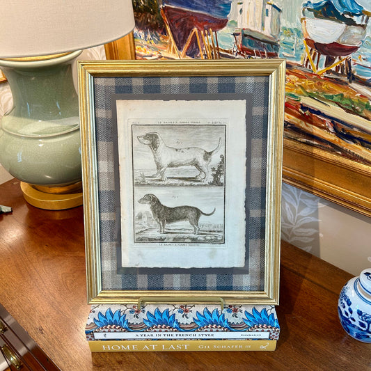 19th Century Lithograph Le Basset Dog Portrait on Blue Plaid Wool in Gold Frame