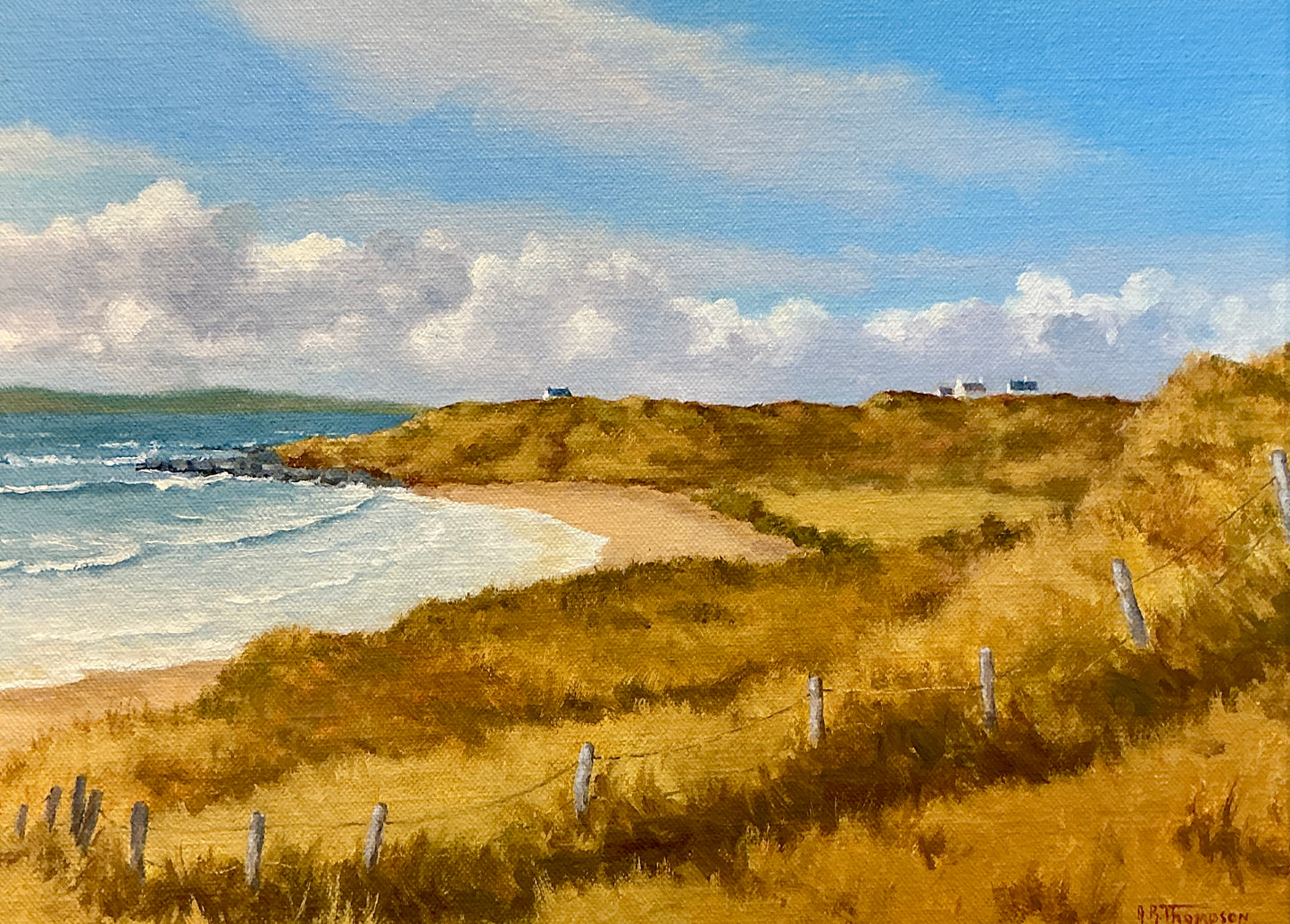 Anthony R. Thompson Cottages By The Burren Fanore Ireland Coastal Landscape Oil Painting in Gold Frame