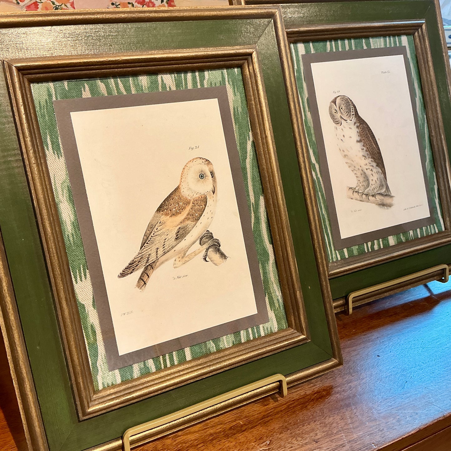 Pair of 19th Century Owl Lithographs on Green Faux Bois Fabric in Green and Dark Gold Frames