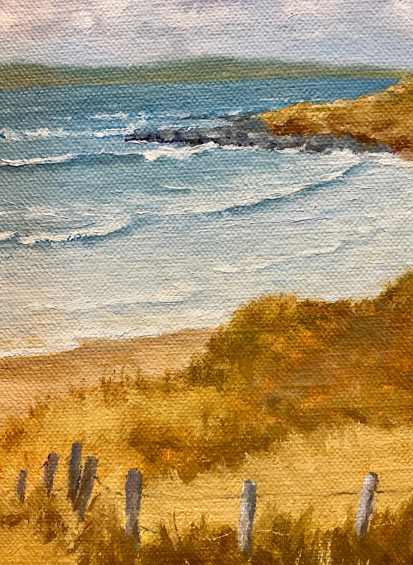 Anthony R. Thompson Cottages By The Burren Fanore Ireland Coastal Landscape Oil Painting in Gold Frame