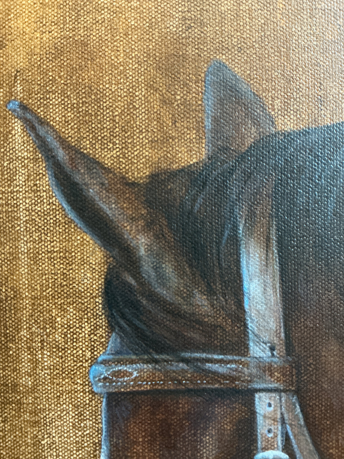 Andrea Hennings Velvet Horse Portrait Painting in Wood Floater Frame