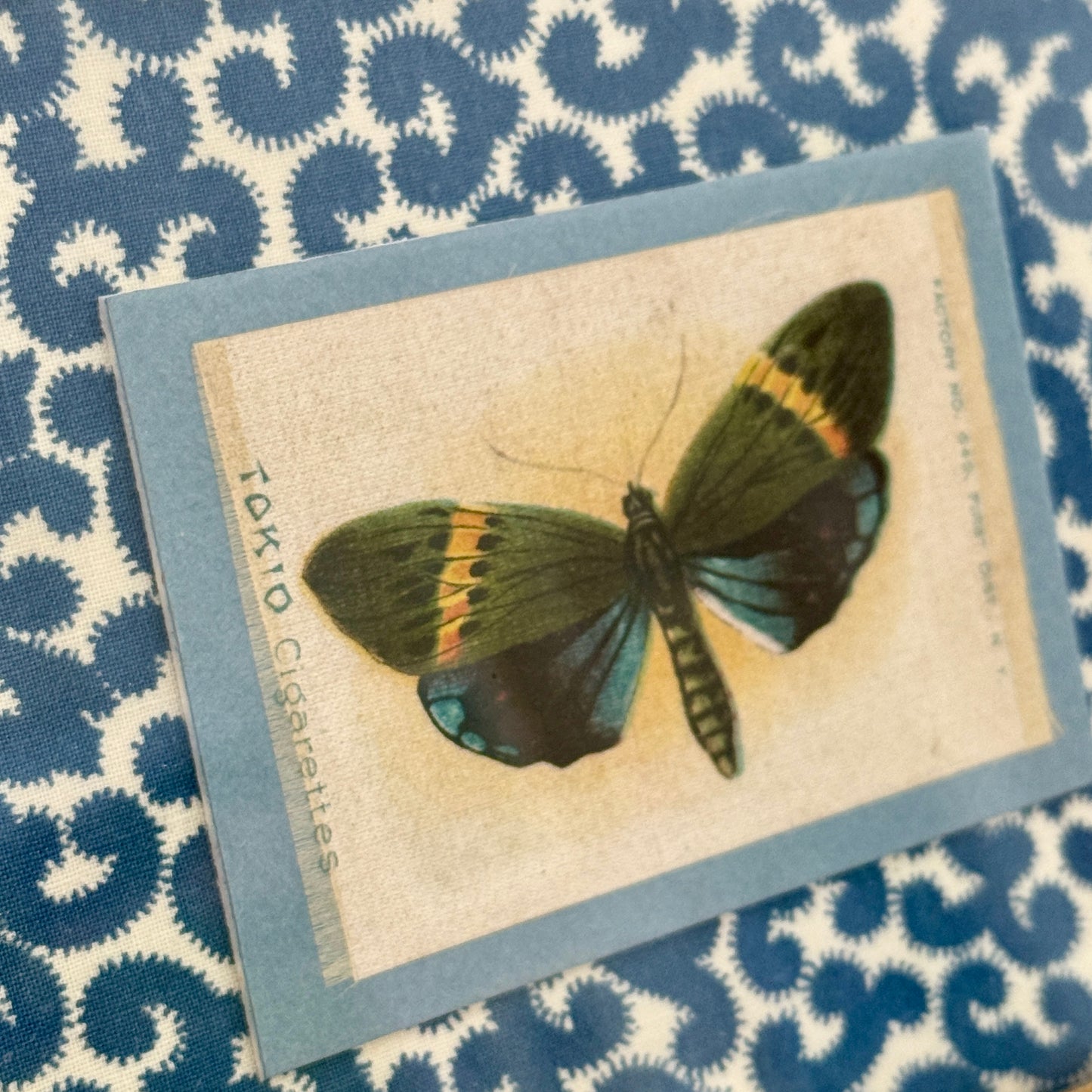 Set of Three Antique Butterfly Tobacco Silks on Blue and White Fabric in Gold Frames