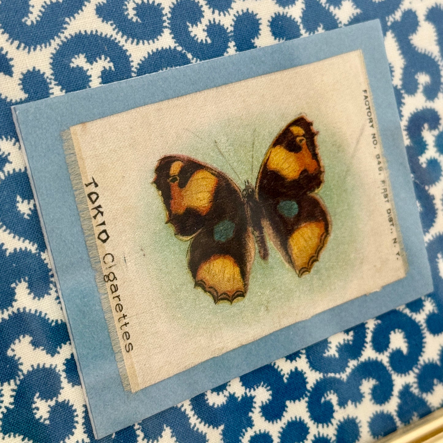 Set of Three Antique Butterfly Tobacco Silks on Blue and White Fabric in Gold Frames