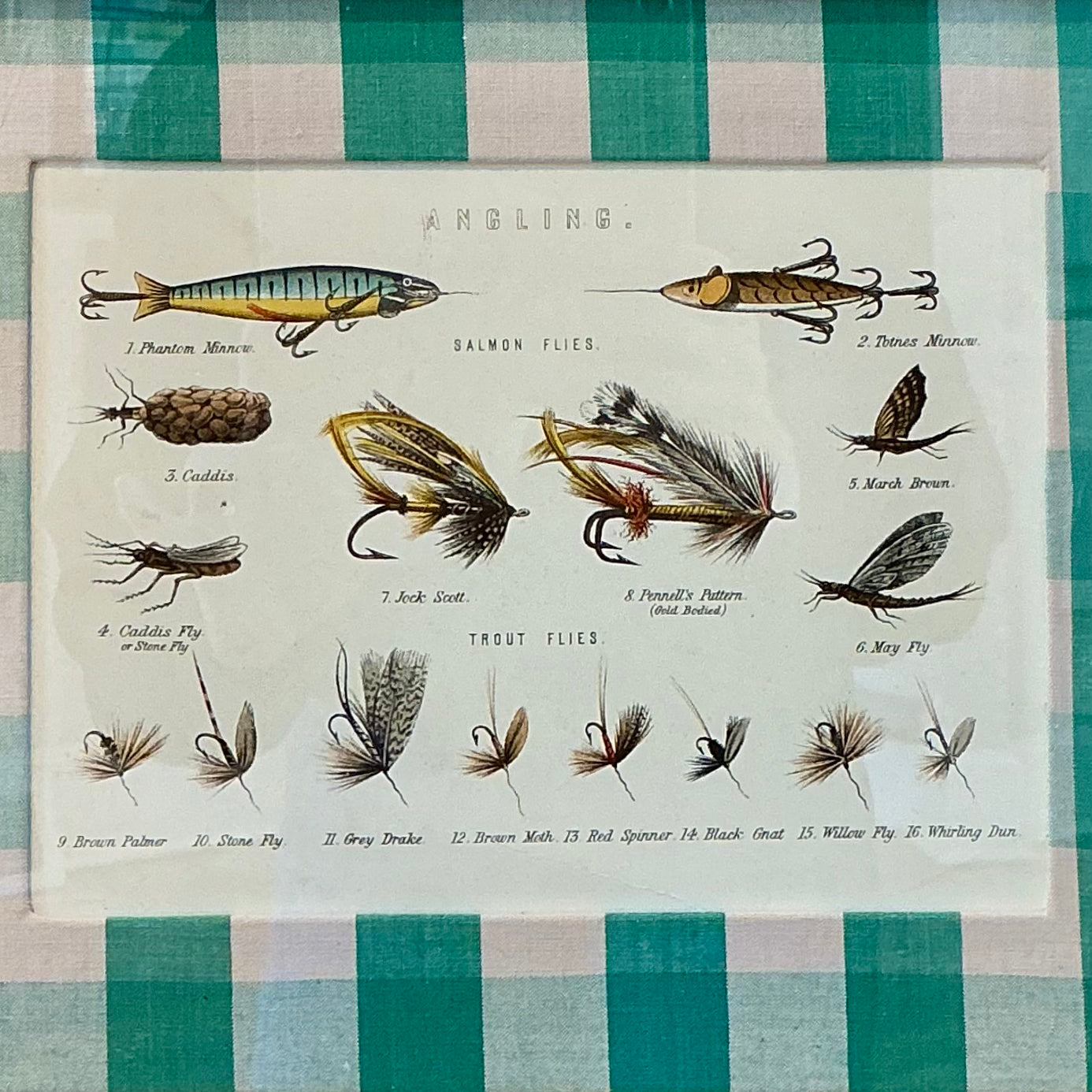 19th Century 1879 Angling Fishing Book Plate on Green Silk Gingham Check in Gold Frame