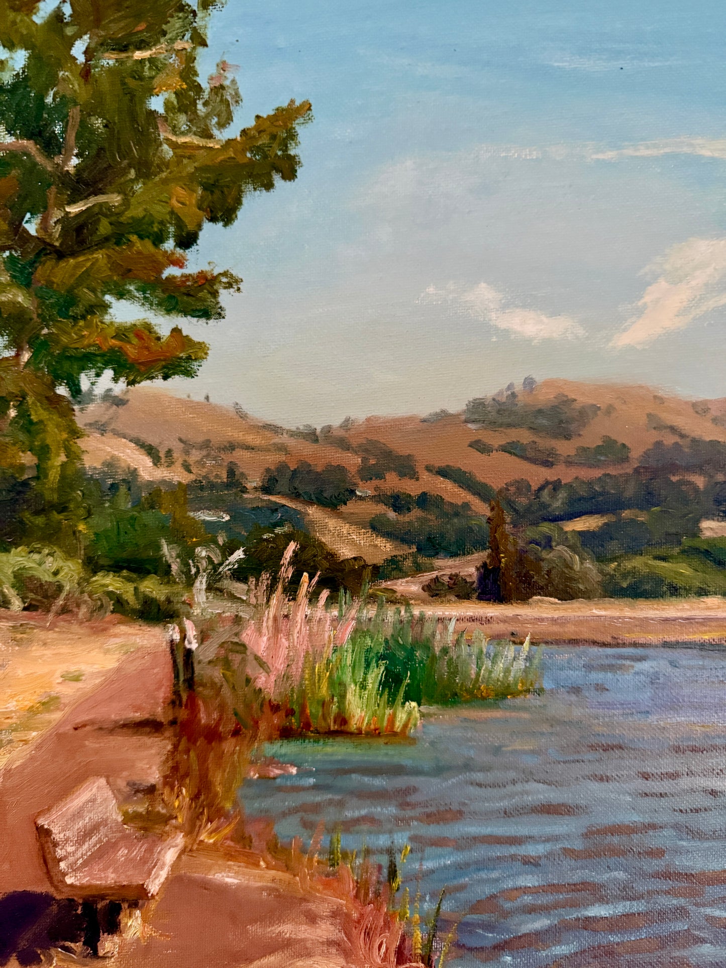 Youqing Wang California Waterside Park Landscape Oil Painting in Gold Frame