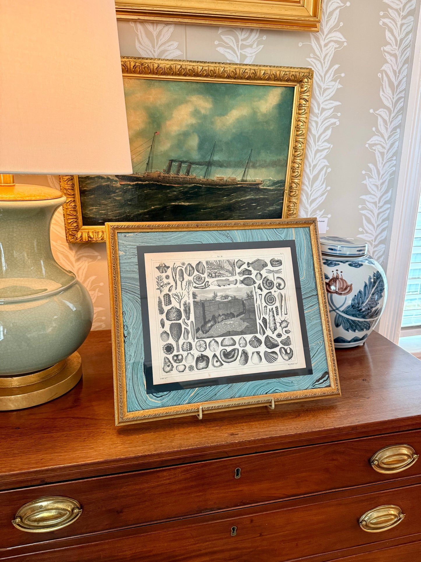 19th Century Conchology Shells Engraving on Hand Marbled Paper in Vintage Gold Frame