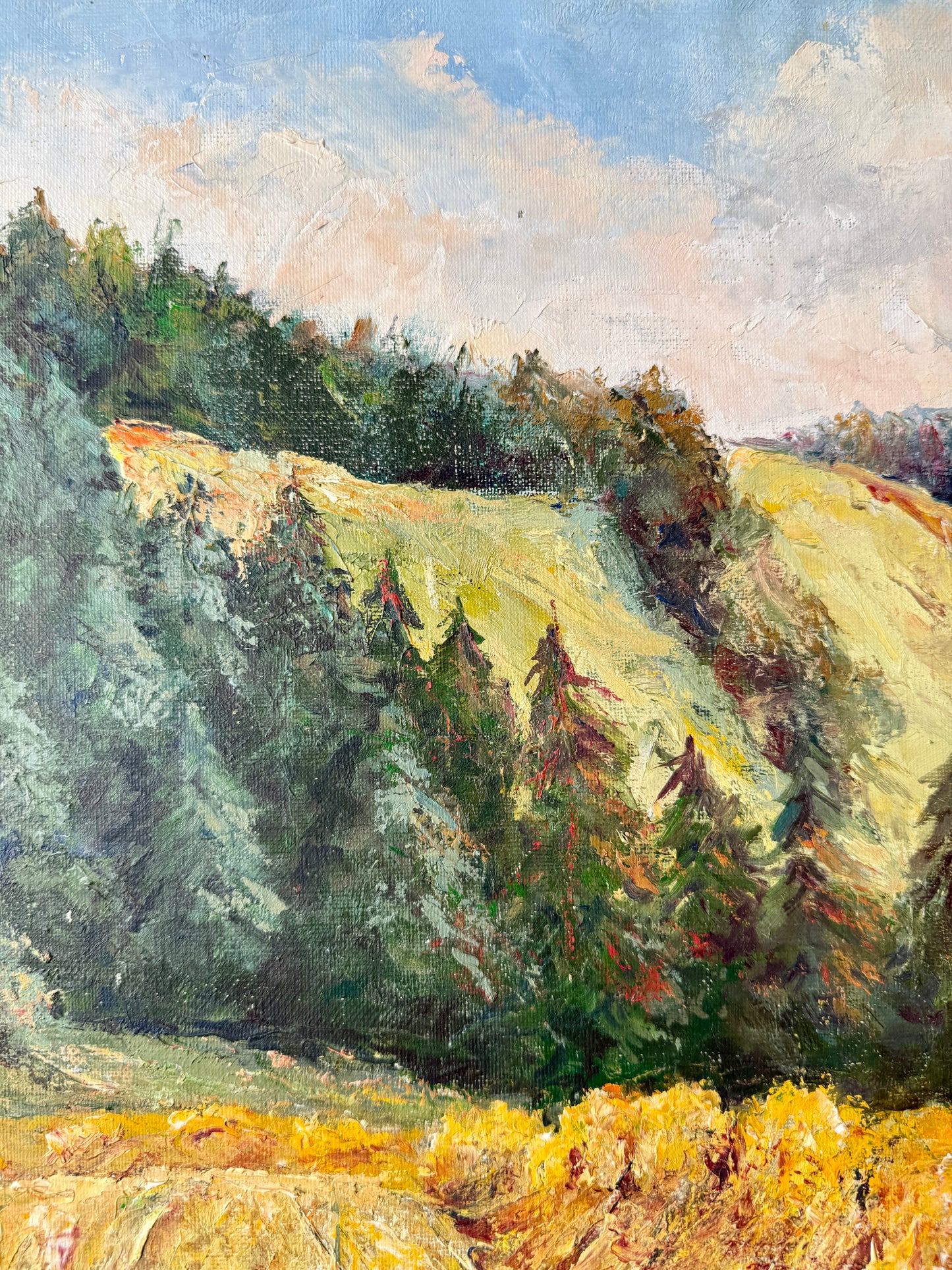 1964 Hillside Evergreen Landscape Oil Painting in Gold Frame