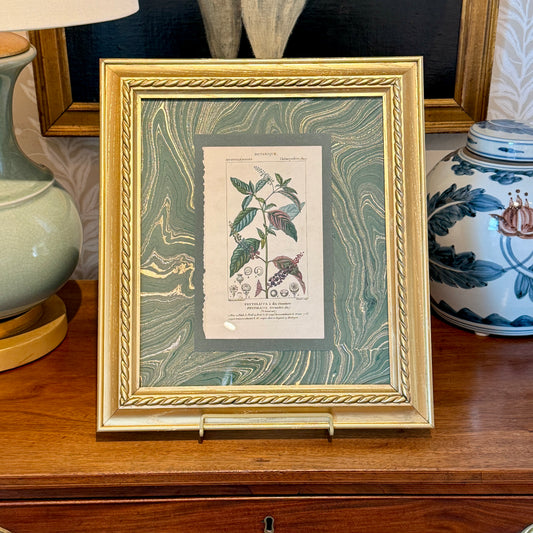 19th c. Hand Colored Botanical Engravings on Green Hand Marbled Paper in Vintage Gold Roped Frame