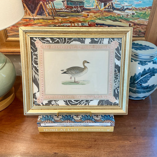 19th c. Hand Colored Pink Footed Goose Lithograph on Black and White Vintage Designer Fabric in Gold Frame