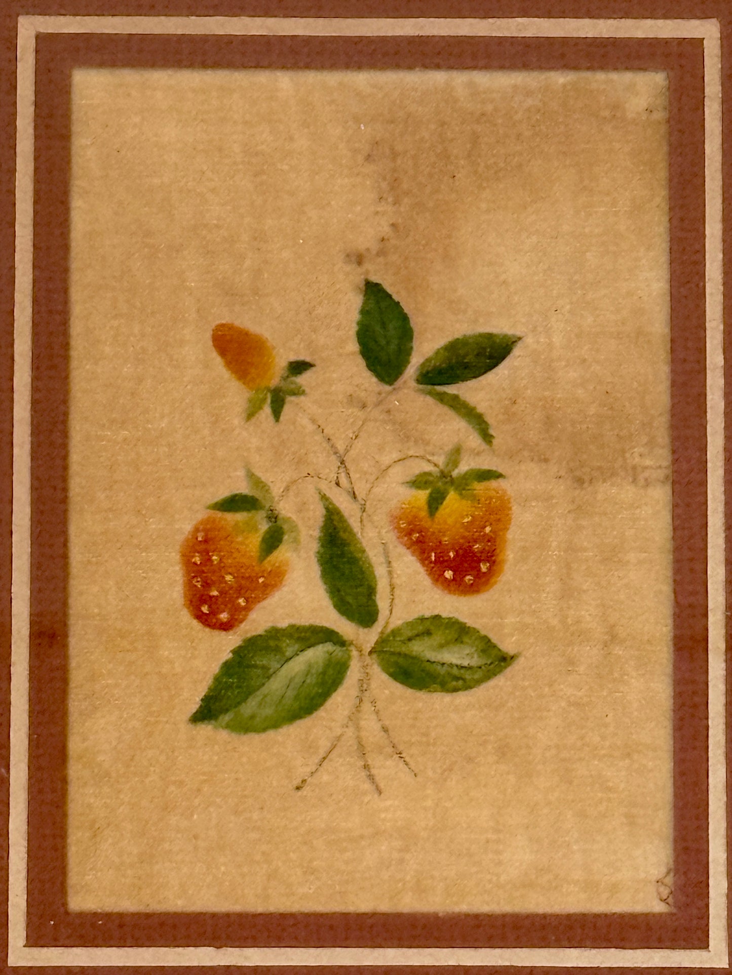 19th Century Strawberries on Velvet Theorem Oil Painting in Gold Carved Frame