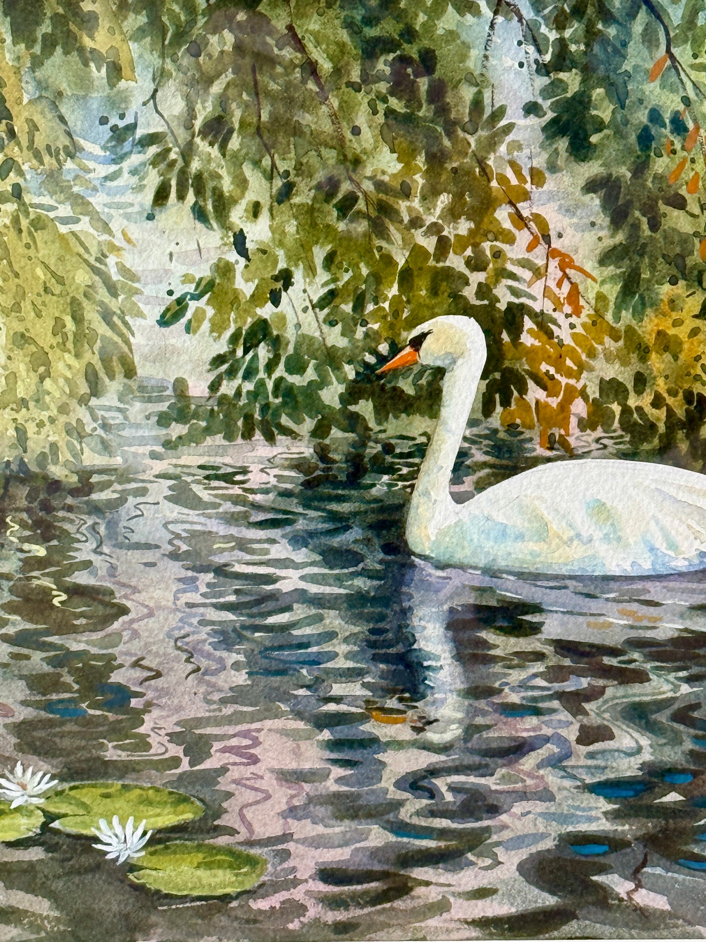 Frederick Kubitz Swan in Lily Pond Watercolor Painting in Gold Frame