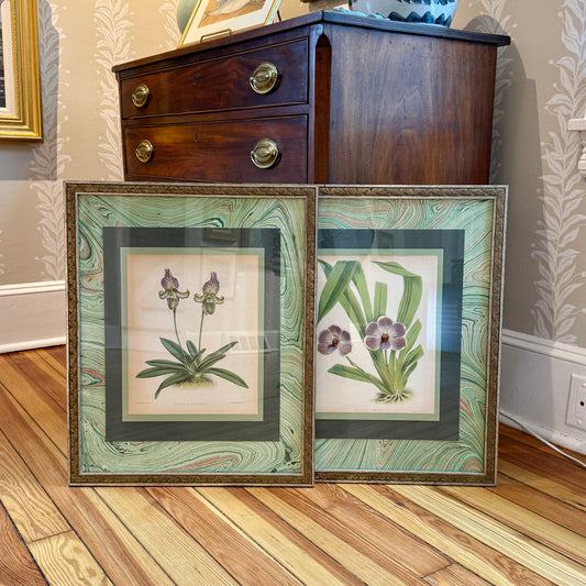 Pair of 19th c. Hand Colored Botanical Orchid Engravings on Green Hand Marbled Paper in Vintage Gold Frames