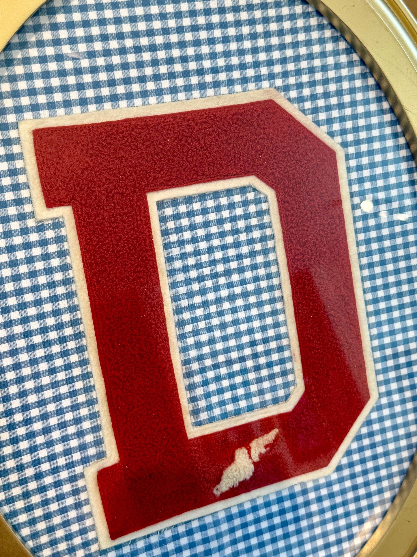Vintage Large Varsity Initial Letter "D" on Blue Gingham in Oval Gold Frame