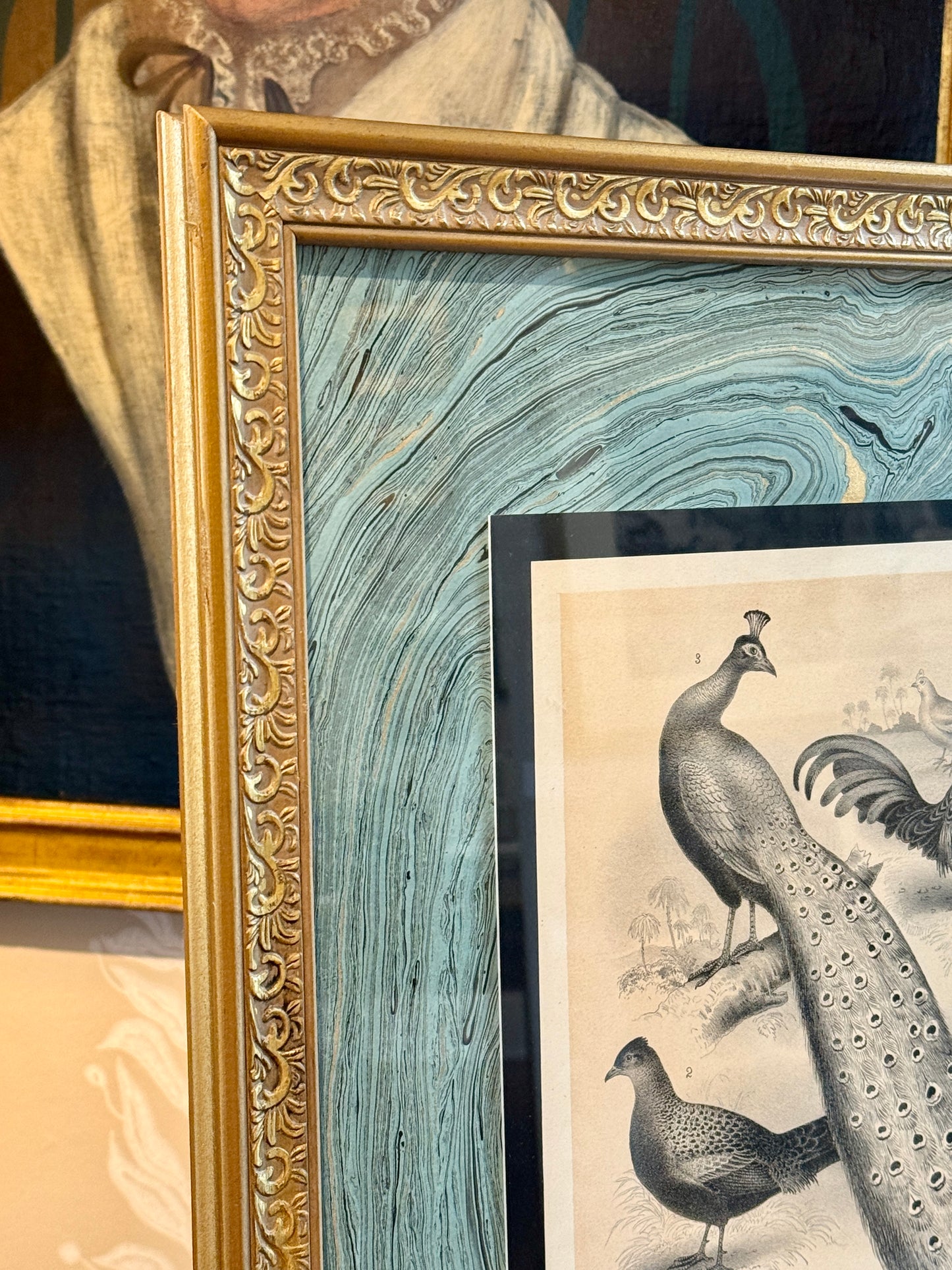 19th Century Peacock Engraving on Hand Marbled Paper in Vintage Gold Frame
