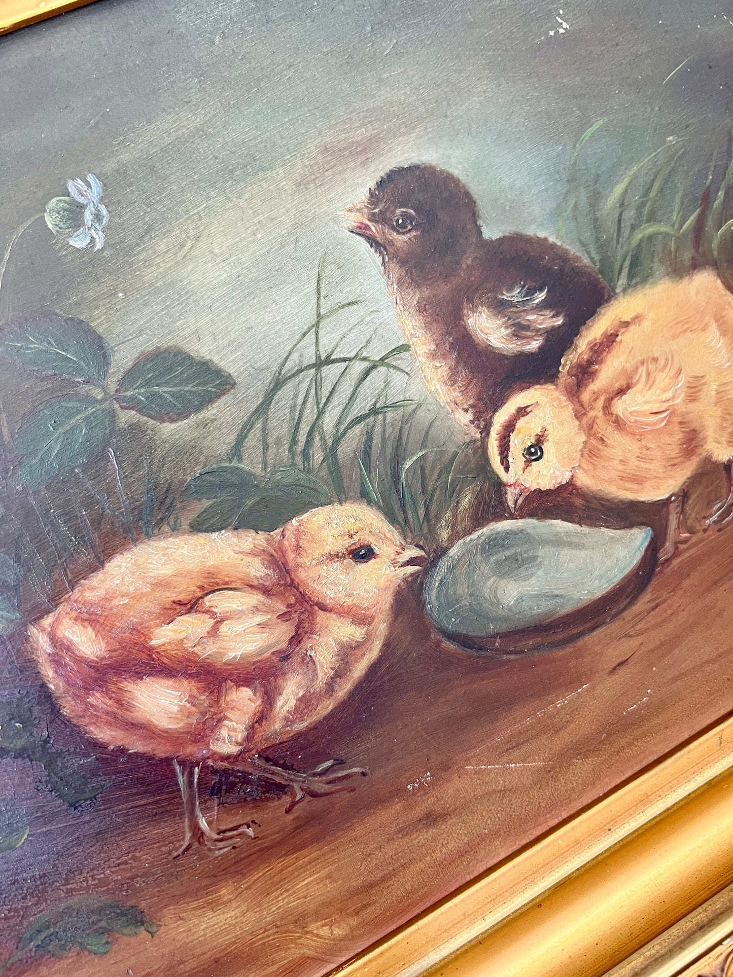 19th Century Chicks Eating From Oyster Shell Oil Painting in Original Gold Frame