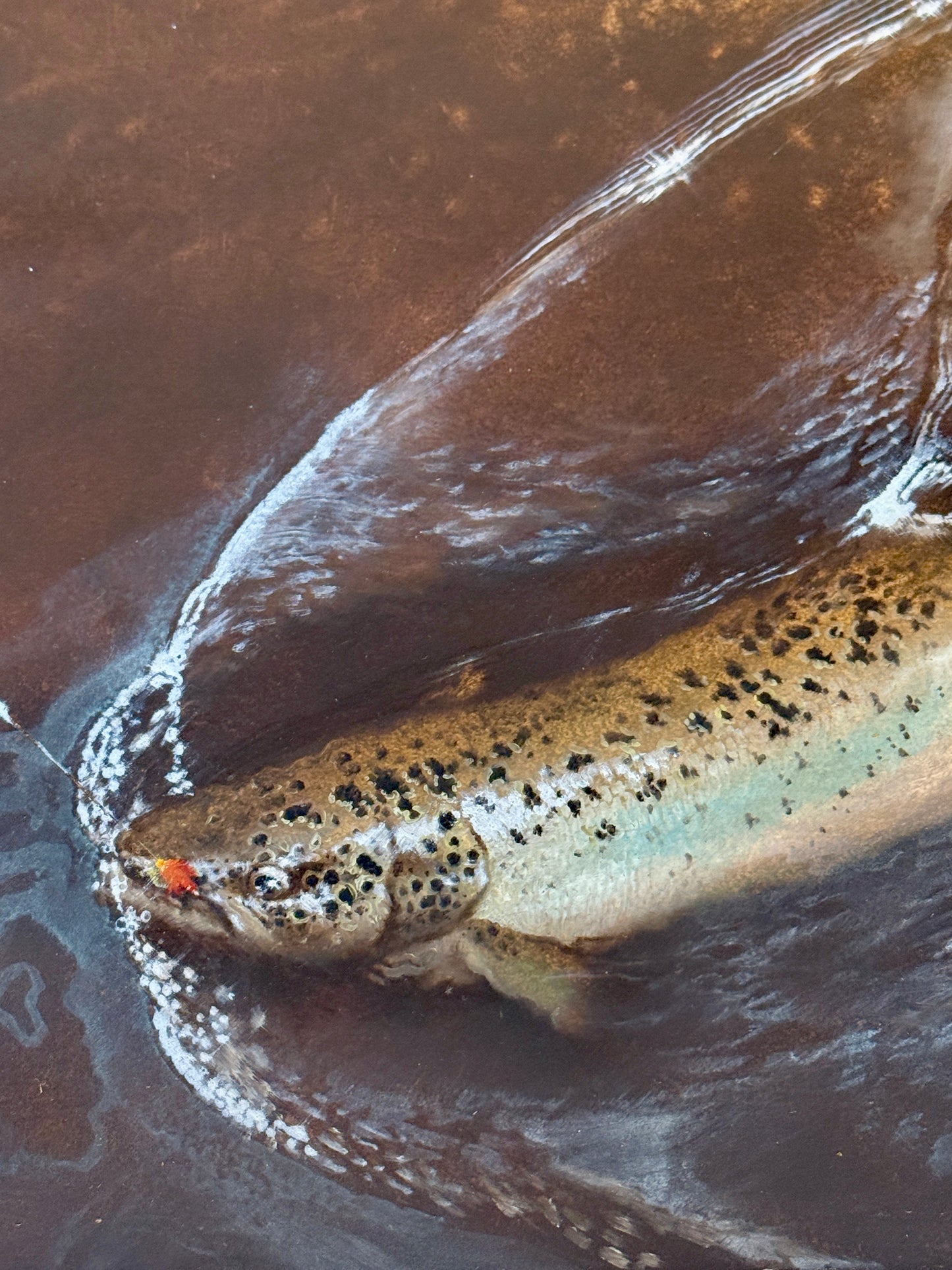 Atlantic Salmon Catch Oil Painting Realist Portrait in Gold Frame