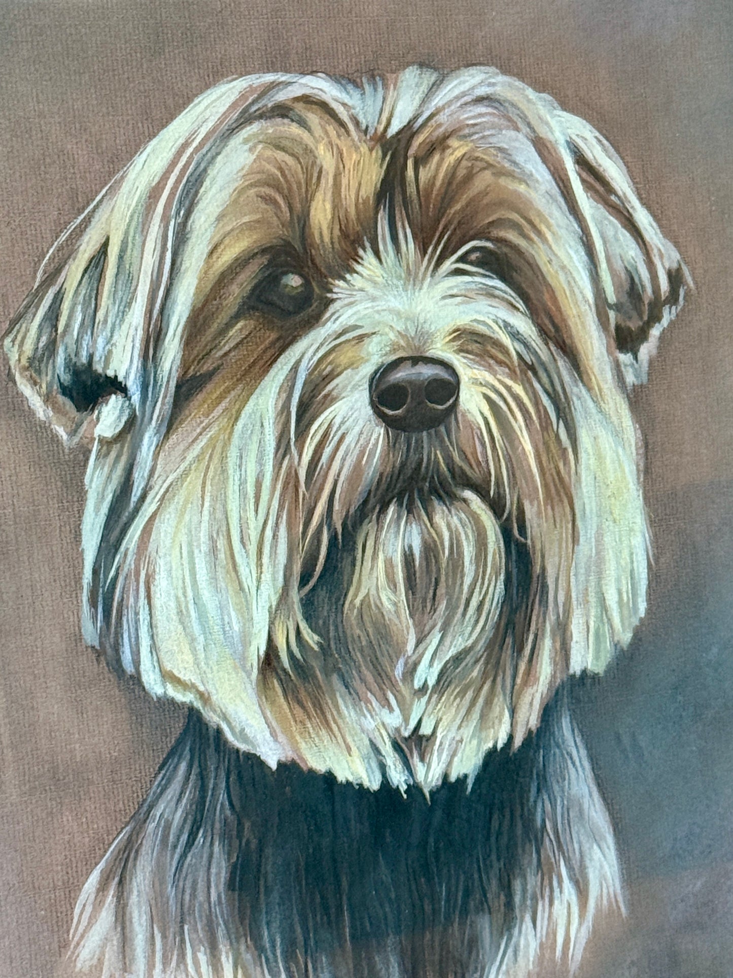 Yorkshire "Yorkie" Terrier Gouache Painting Dog Portrait in Burled Wood Frame